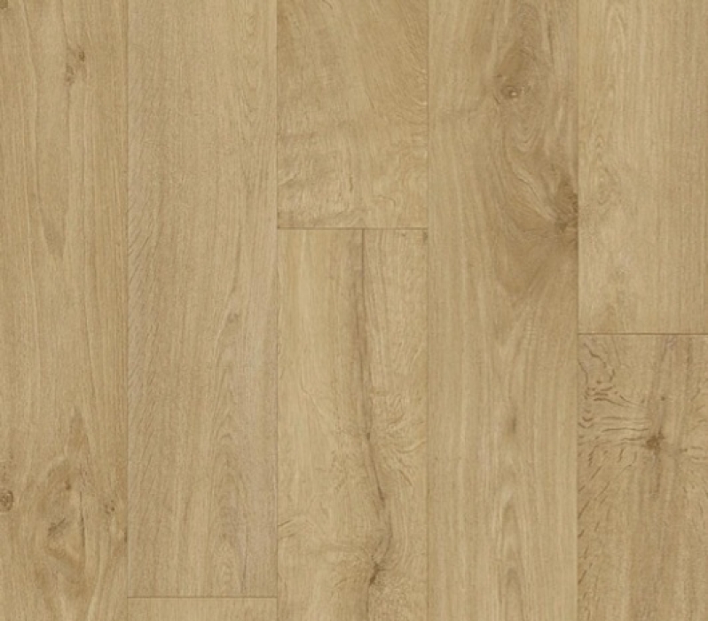 Elast 40 Project 296